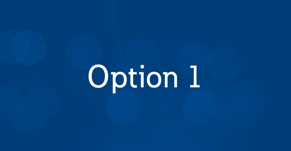 Option 1